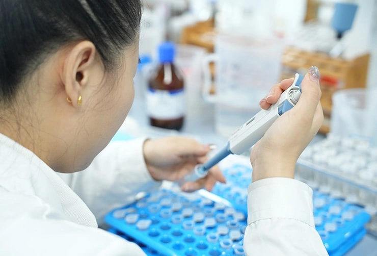 R&D Focus Areas & Pathways