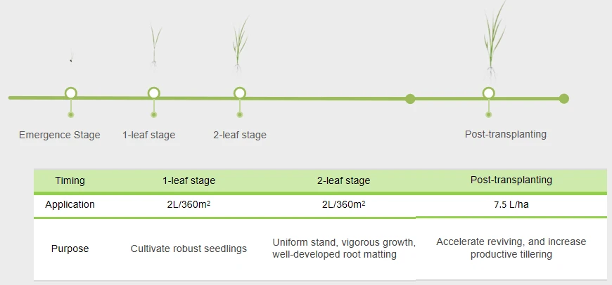 PHI00963 Used on Rice