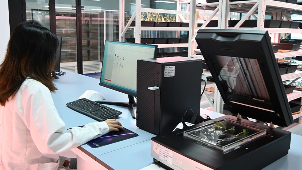 Bioassay Cultivation Matrix